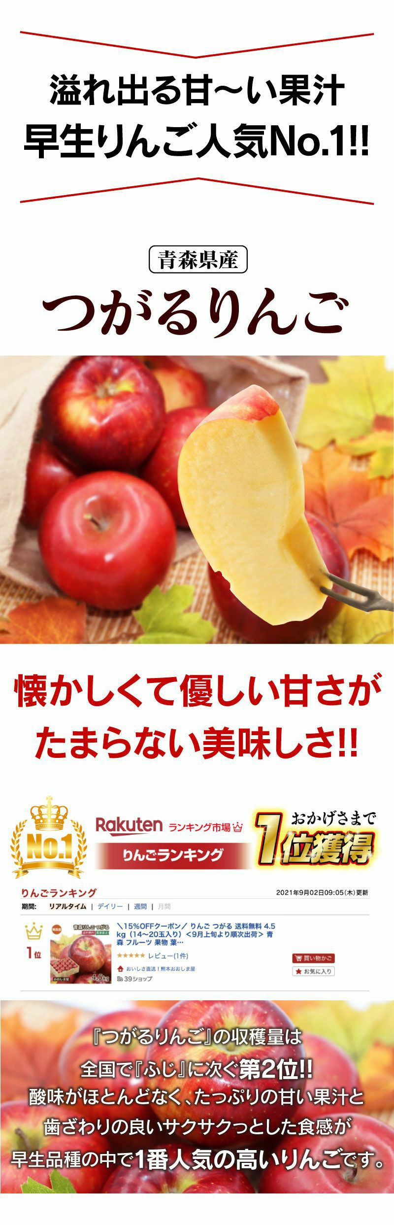 りんご つがる 送料無料 4.5kg（14-20玉入り）＜9月上旬より順次出荷