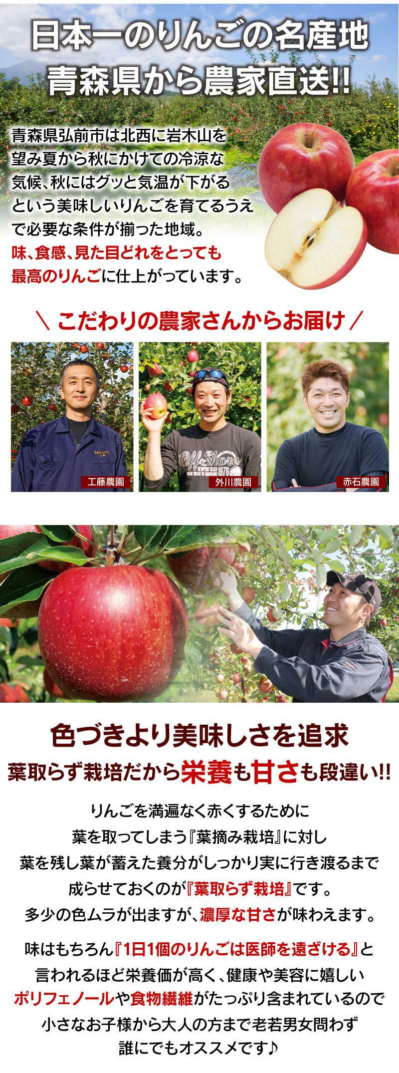 こうた&とおり青森県産農薬不使用フジ10キロとはるかりんご3.4キロ送料無料 楽天市場】【激安☆大人気】青森 りんご 加工用 10kg箱 送料無料