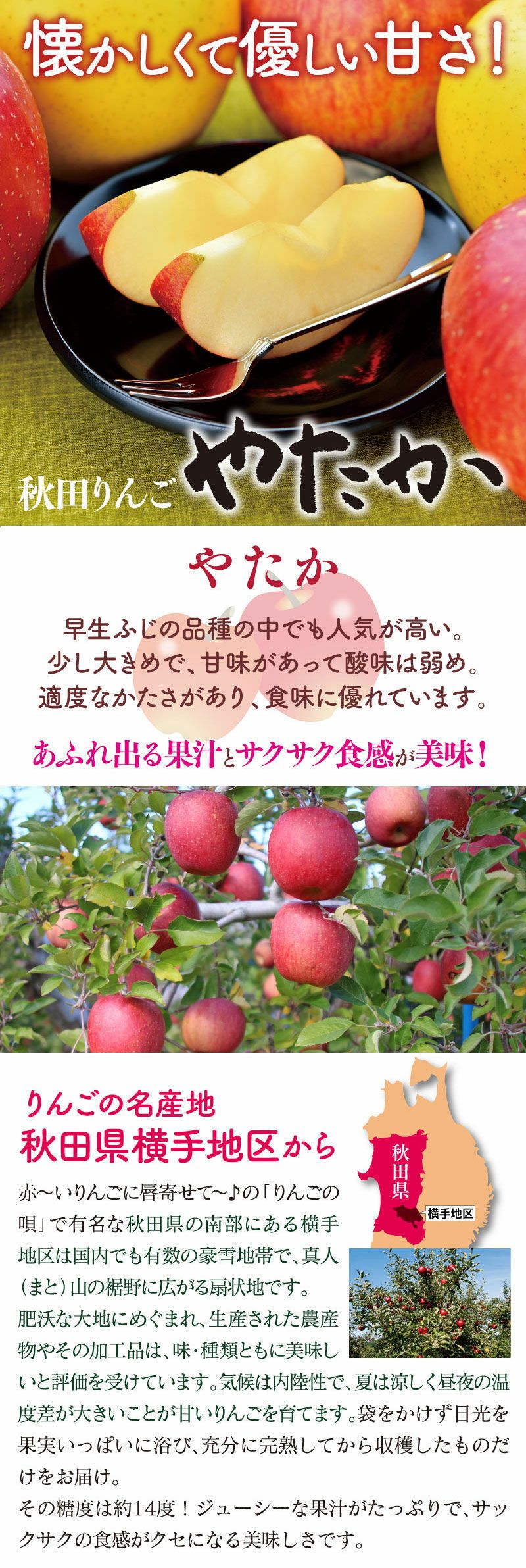 秋田県産 やたかりんご（早生ふじ） 4.5kg 約12～18玉 ＜10月上旬より