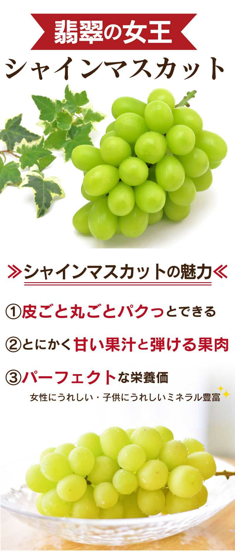 シャインマスカット