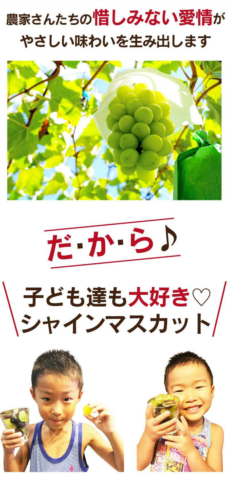 シャインマスカット