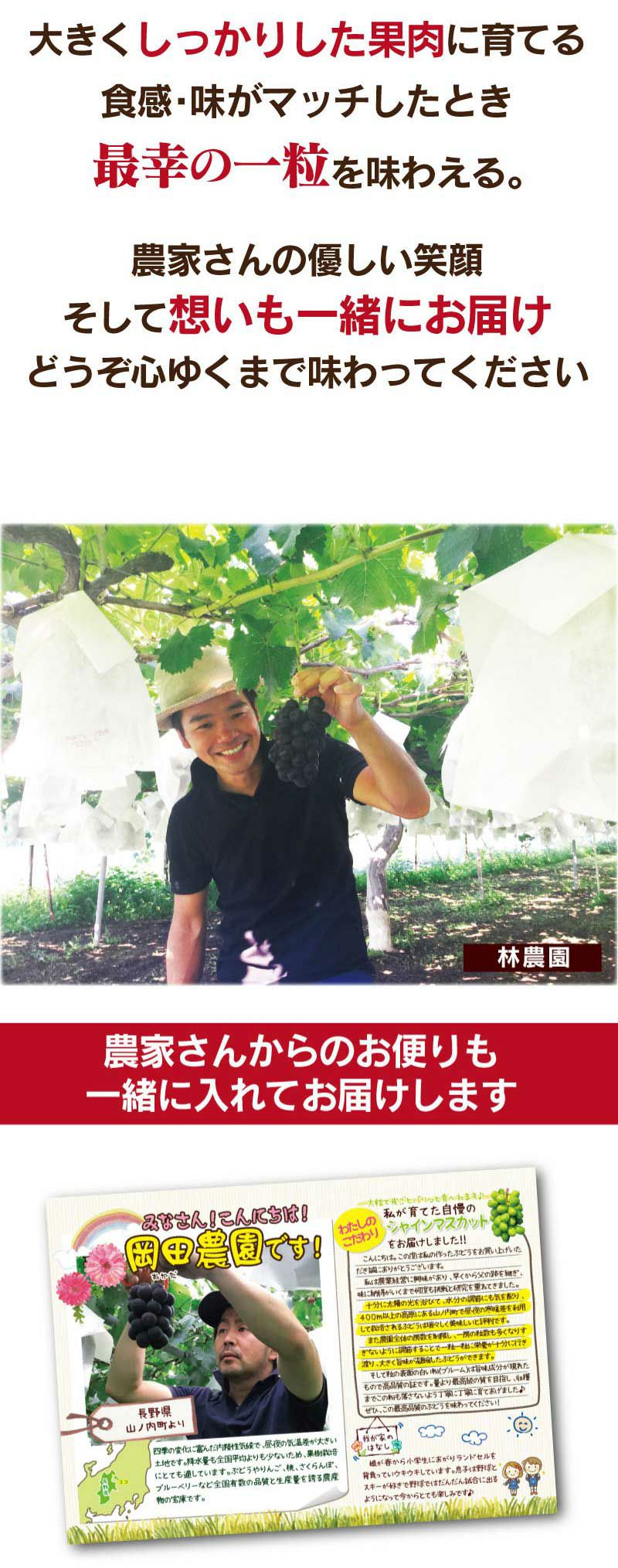 シャインマスカット