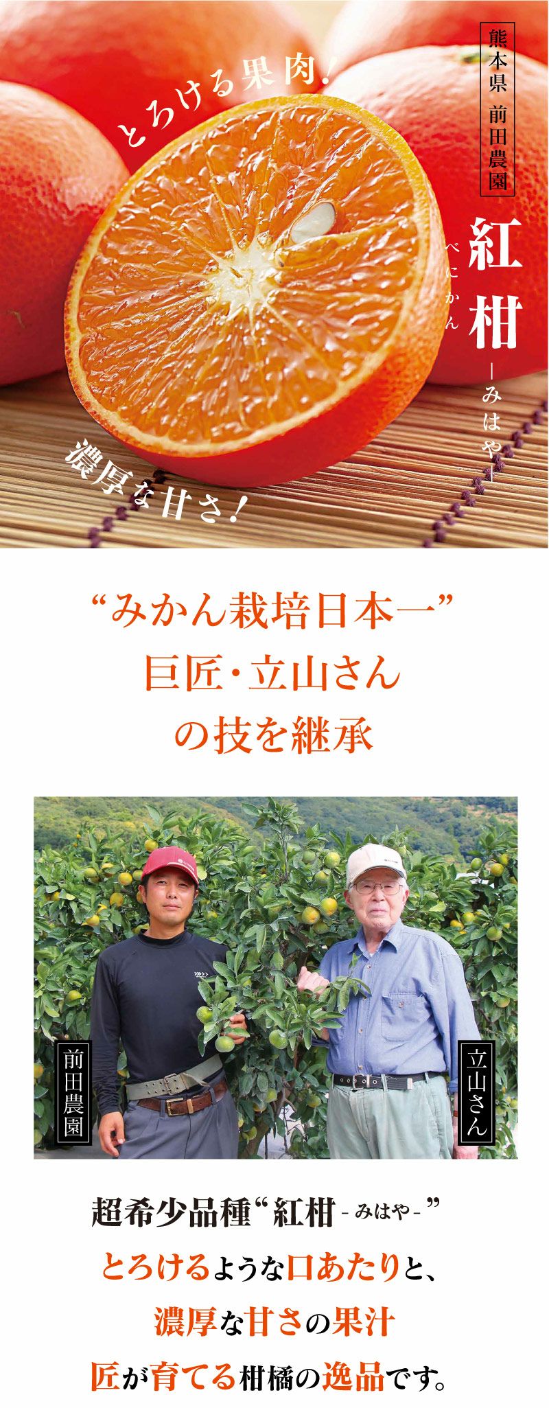 立山さんのみはやみかん