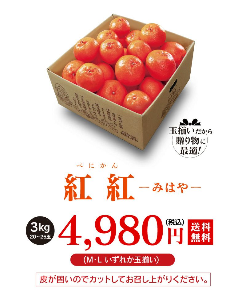 立山さんのみはやみかん