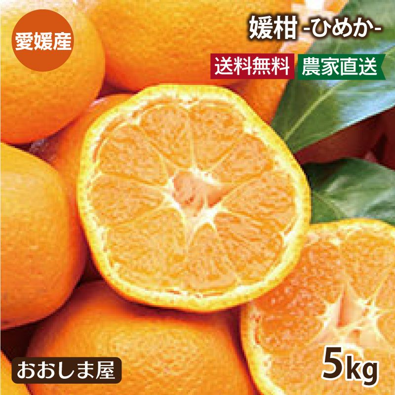 温州みかん 媛柑（ひめか）