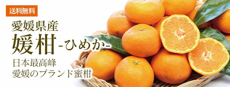 温州みかん 媛柑（ひめか）