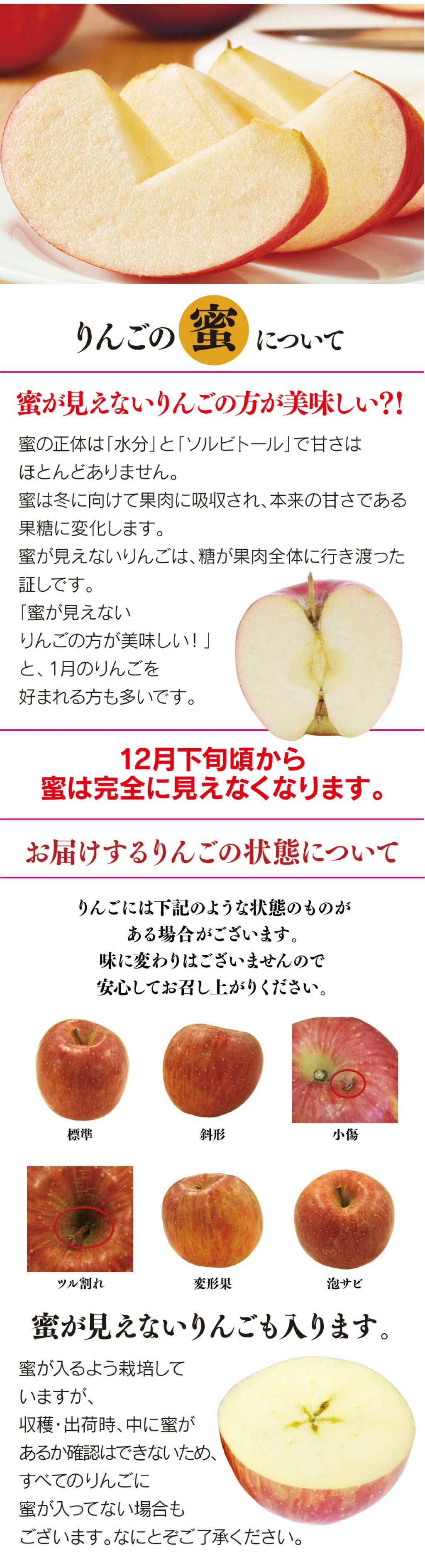 長野産 蜜入り サンふじりんご 4.5kg 約12～18玉 大小混合 小傷あり ＜12月上旬より出荷＞ ご家庭用 【0450593】 |  おおしま屋（大嶌屋）