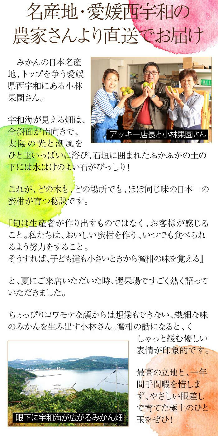 媛一まどんな 2S-Mサイズ混合 3kg（大小混合:約20玉から30玉）12月中旬