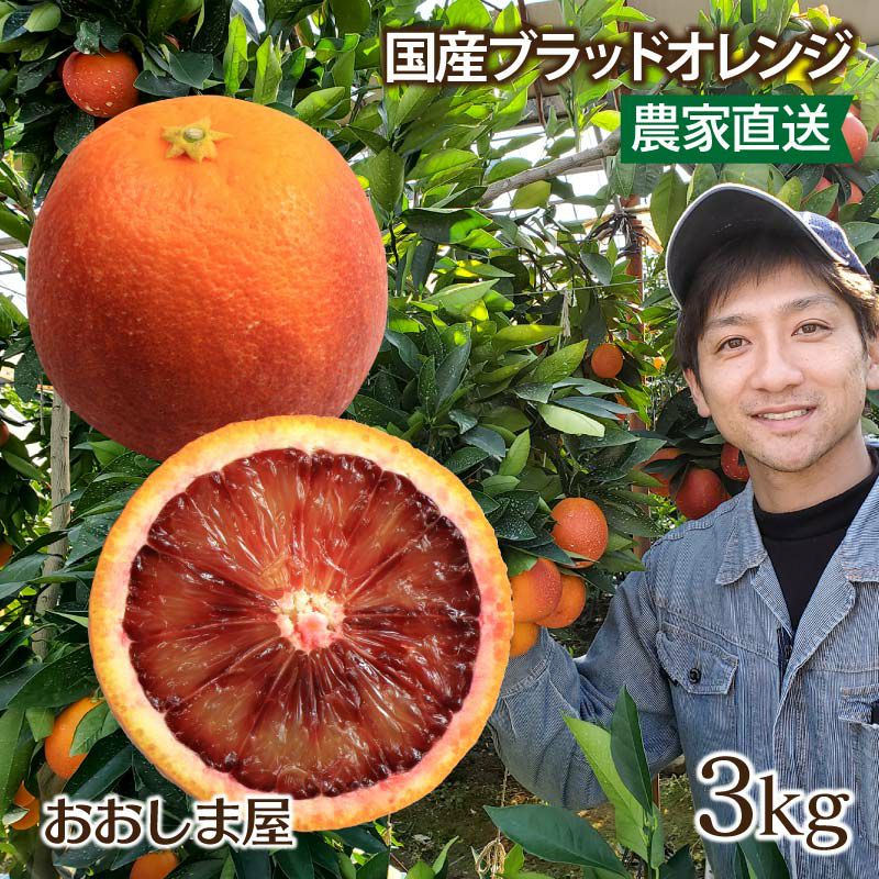 国産 ブラッドオレンジ モロ種 3kg 