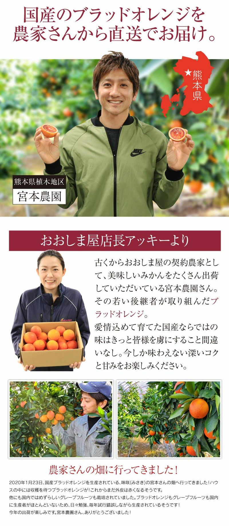 国産 ブラッドオレンジ モロ種 3kg 