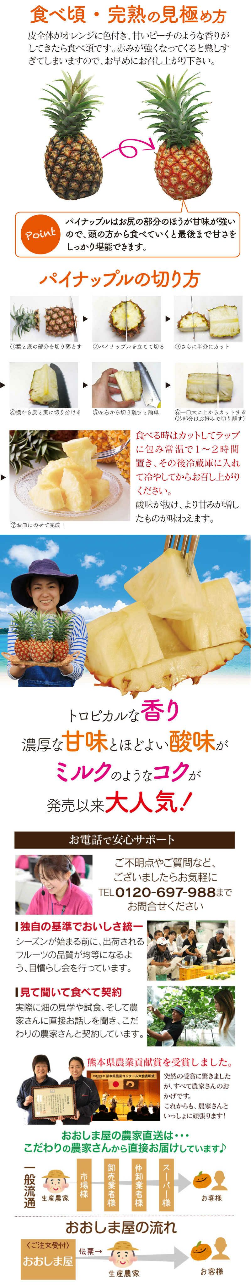 沖縄 パイナップル ピーチパイン 2.5kg ＜5月中旬より順次出荷＞ 約2玉～6玉入り 送料無料 農家直送 フルーツ 果物 大嶌屋（おおしまや） |  おおしま屋（大嶌屋）