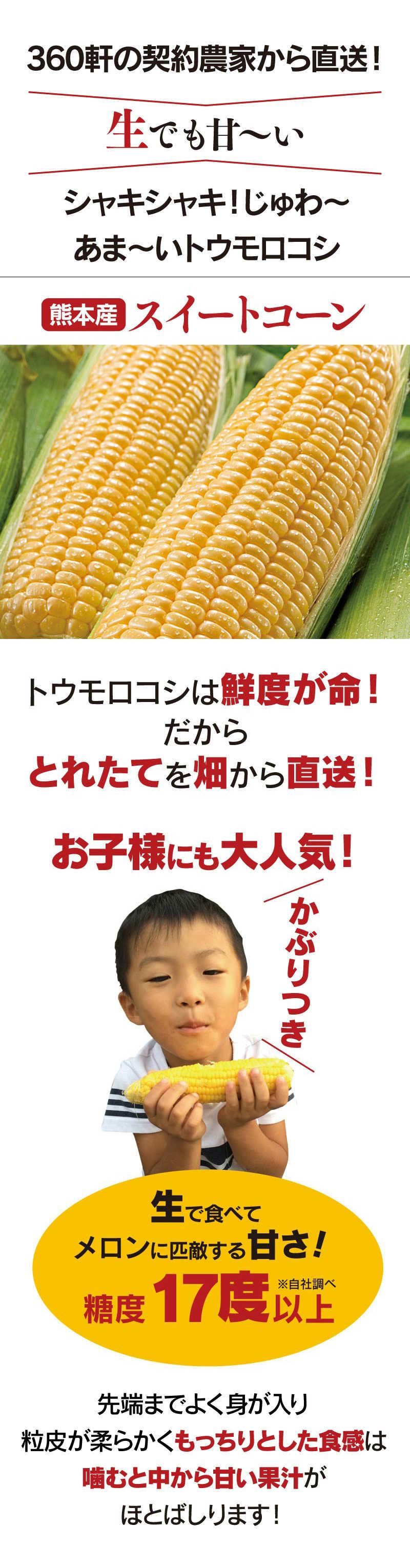 熊本産 とうもろこし スイートコーン ゴールドラッシュ 4kg（10-14本）熊本県 送料無料 クール代別 ＜6月中旬より順次出荷予定＞ 農家直送 |  おおしま屋（大嶌屋）