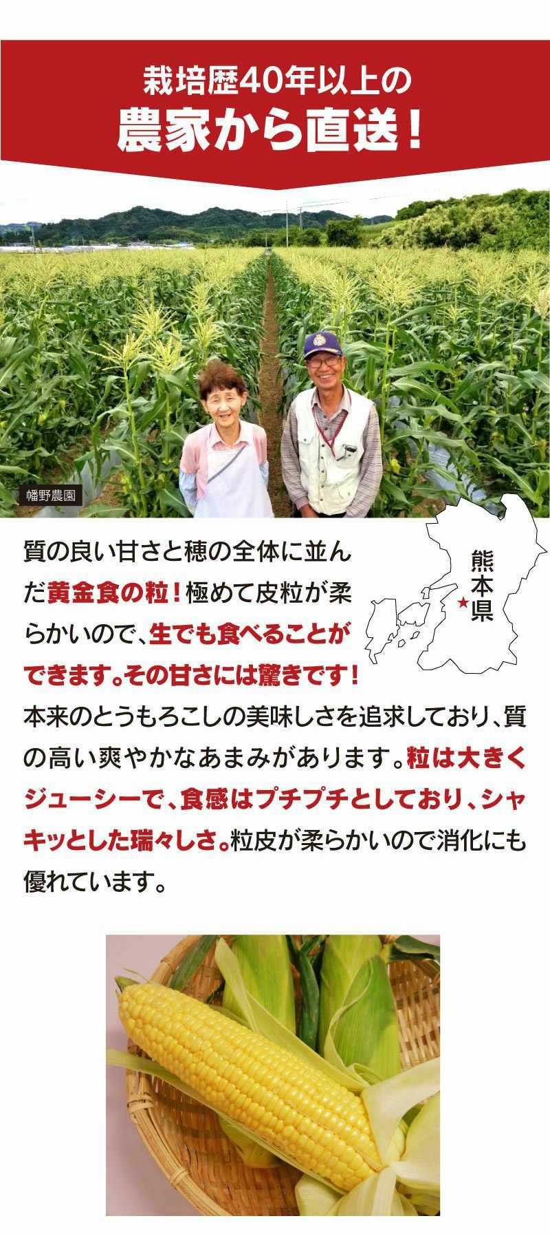 熊本産 とうもろこし スイートコーン ゴールドラッシュ 4kg（10