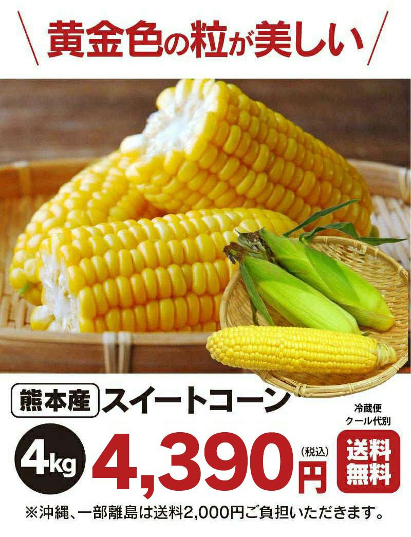 熊本産 とうもろこし スイートコーン ゴールドラッシュ 4kg（10-14本）熊本県 送料無料 クール代別 ＜6月中旬より順次出荷予定＞ 農家直送 |  おおしま屋（大嶌屋）