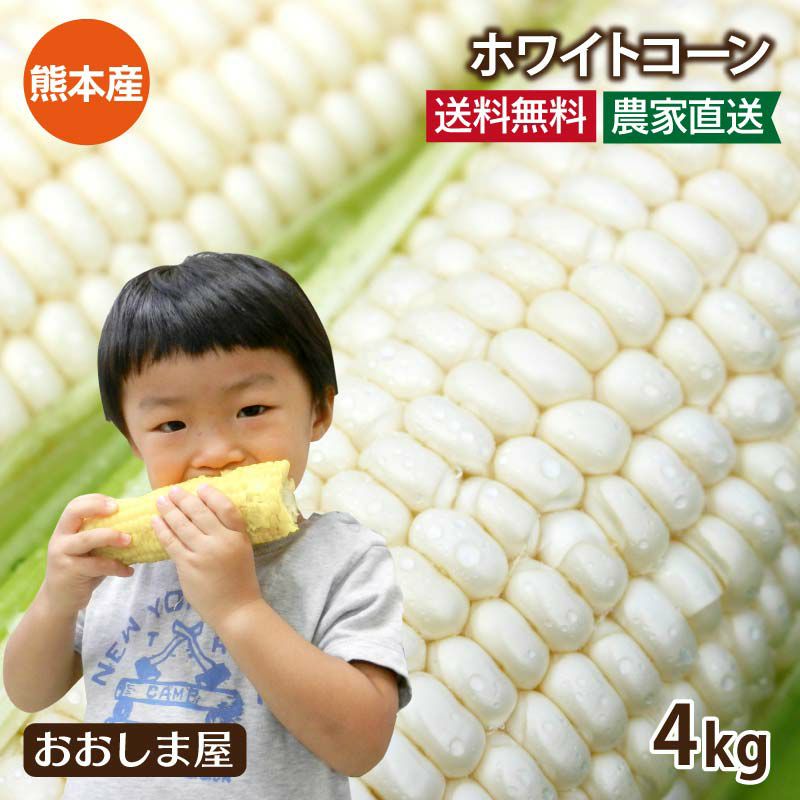  白いとうもろこし ホワイトコーン