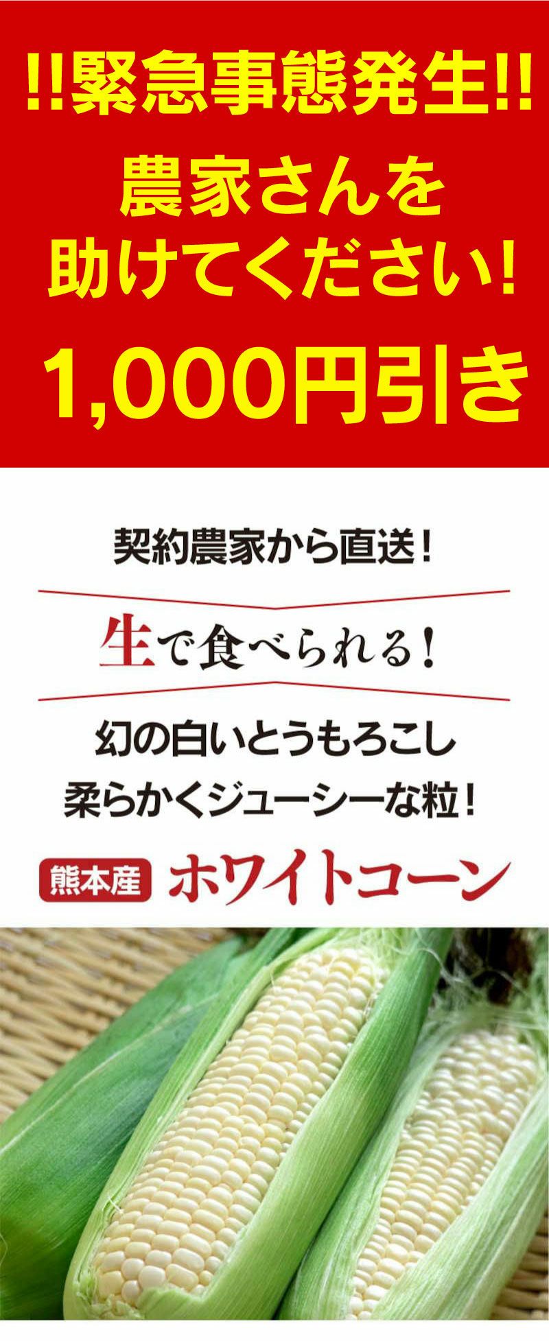 ひろ様専用】鬼あまい ホワイトコーン 新潟津南産 - 野菜