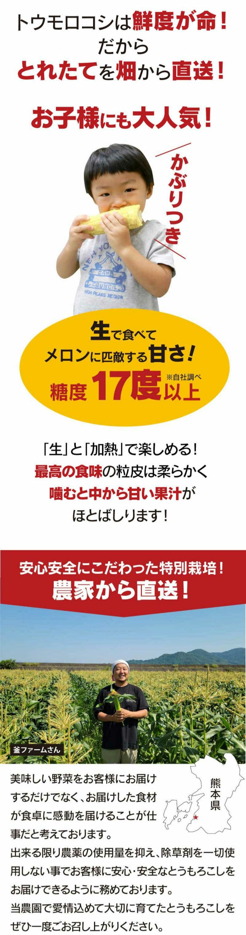  白いとうもろこし ホワイトコーン