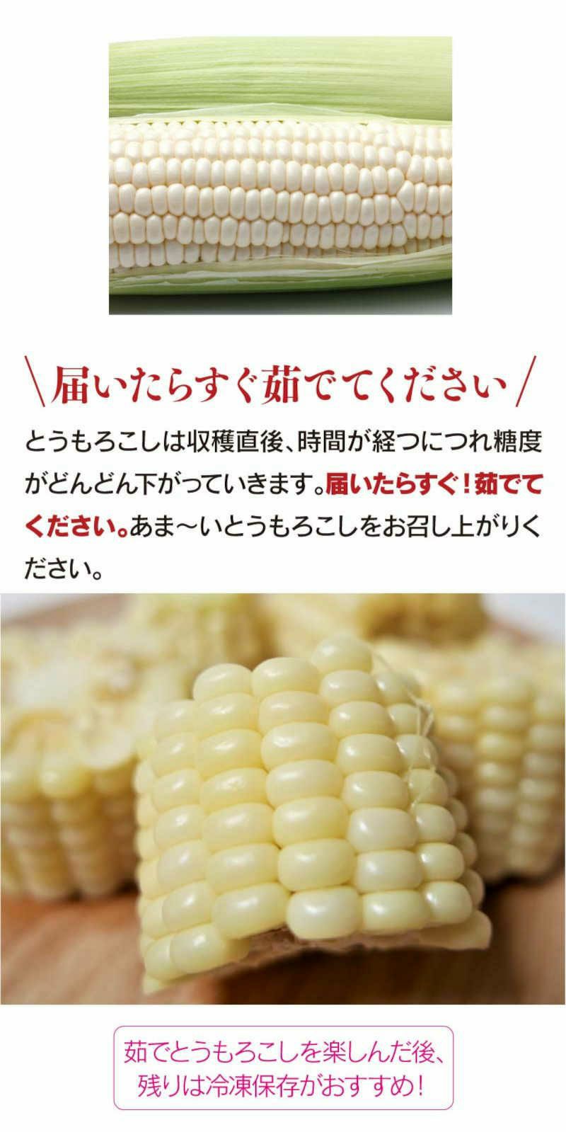  白いとうもろこし ホワイトコーン