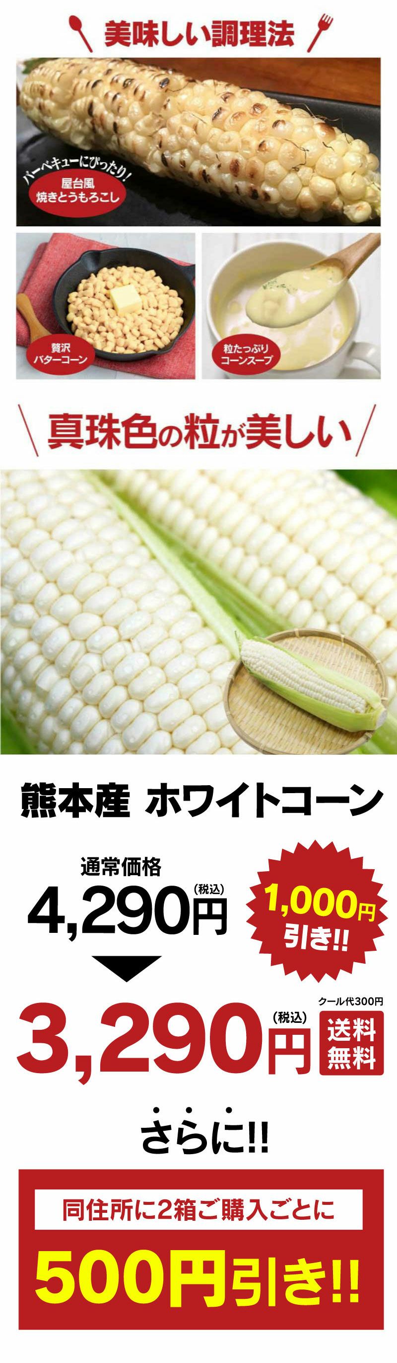  白いとうもろこし ホワイトコーン