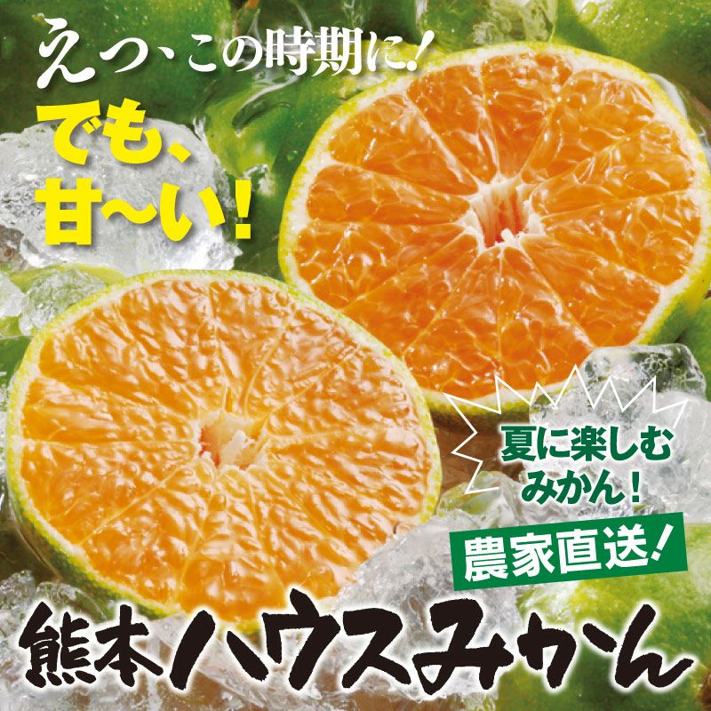 熊本ハウスみかん 2kg ＜送料無料・農家直送・同梱不可＞ 2kg 大小混合