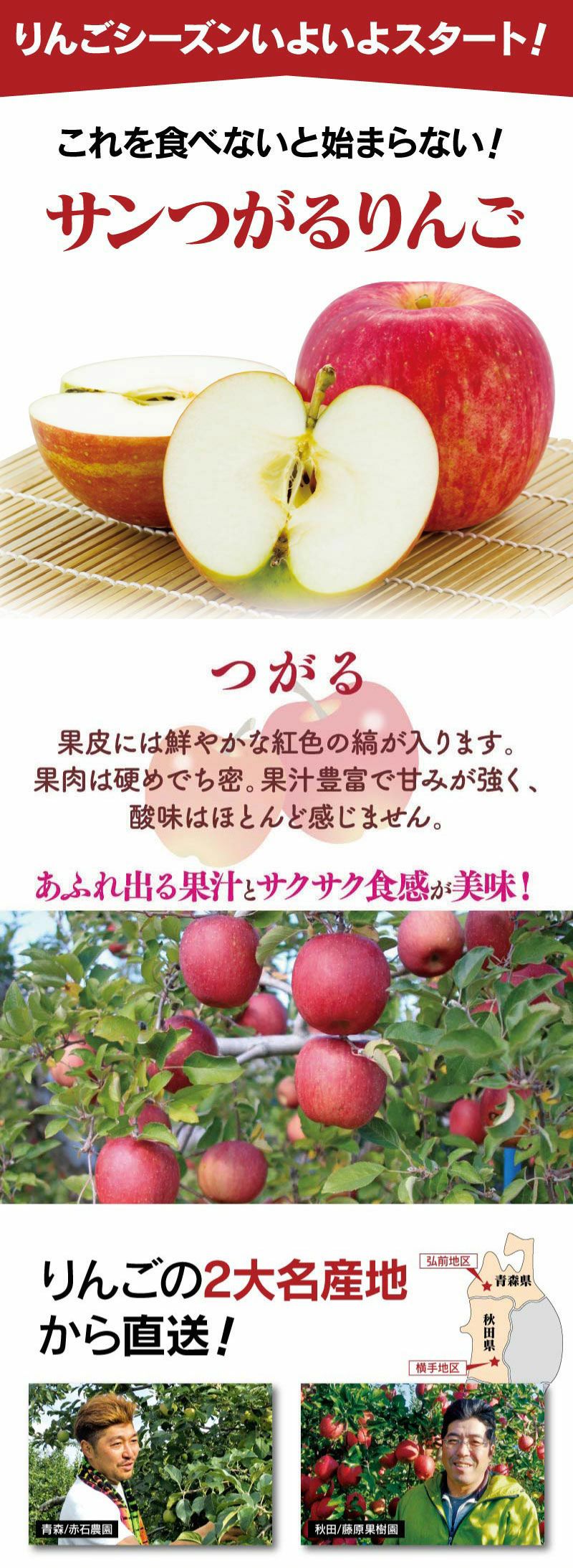 サンつがるりんご