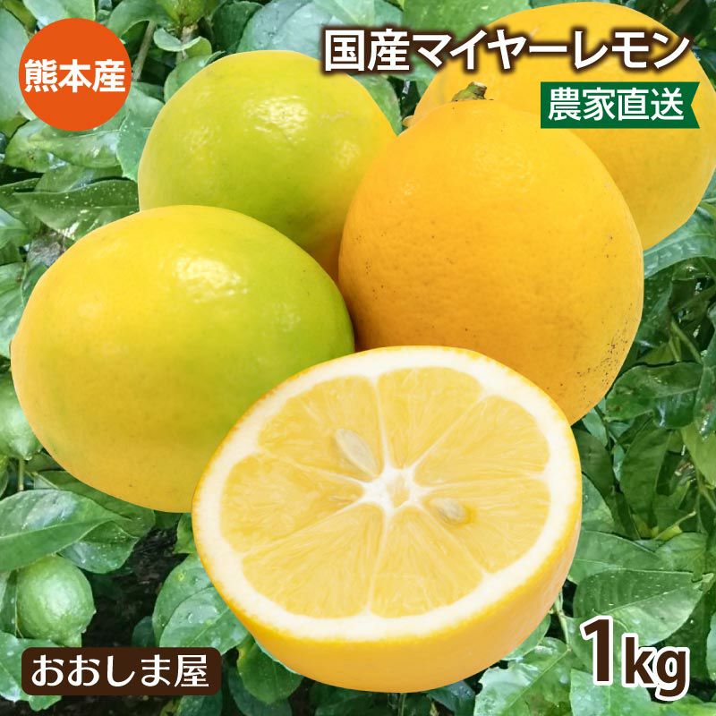  国産 熊本 レモン 1kg マイヤーレモン