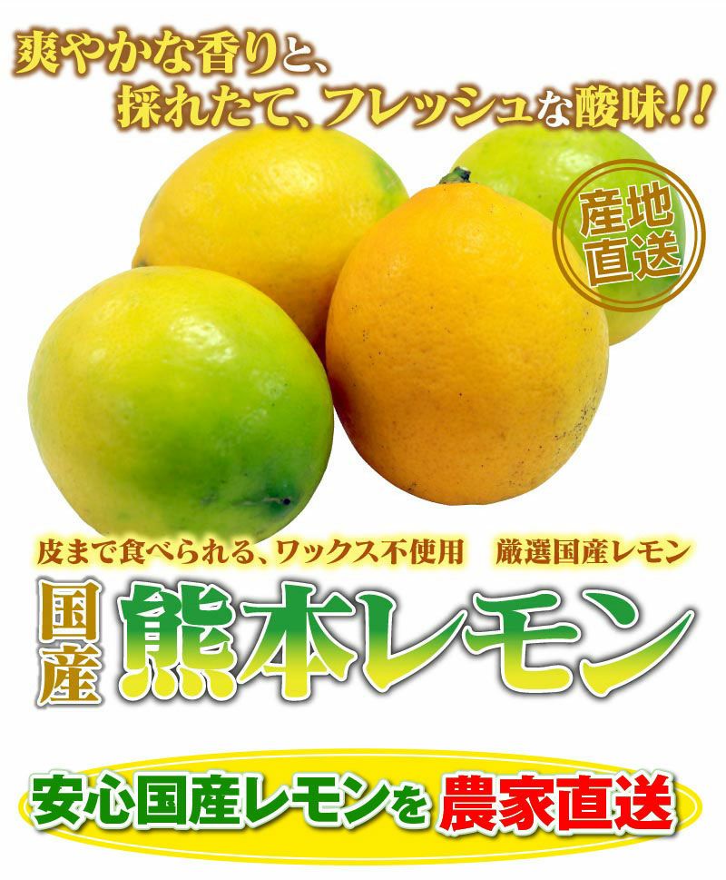 ポイント5倍 【期間限定❣️復活】マイヤーレモン3㎏/11月28日発送予定 国産レモン レモン 通販
