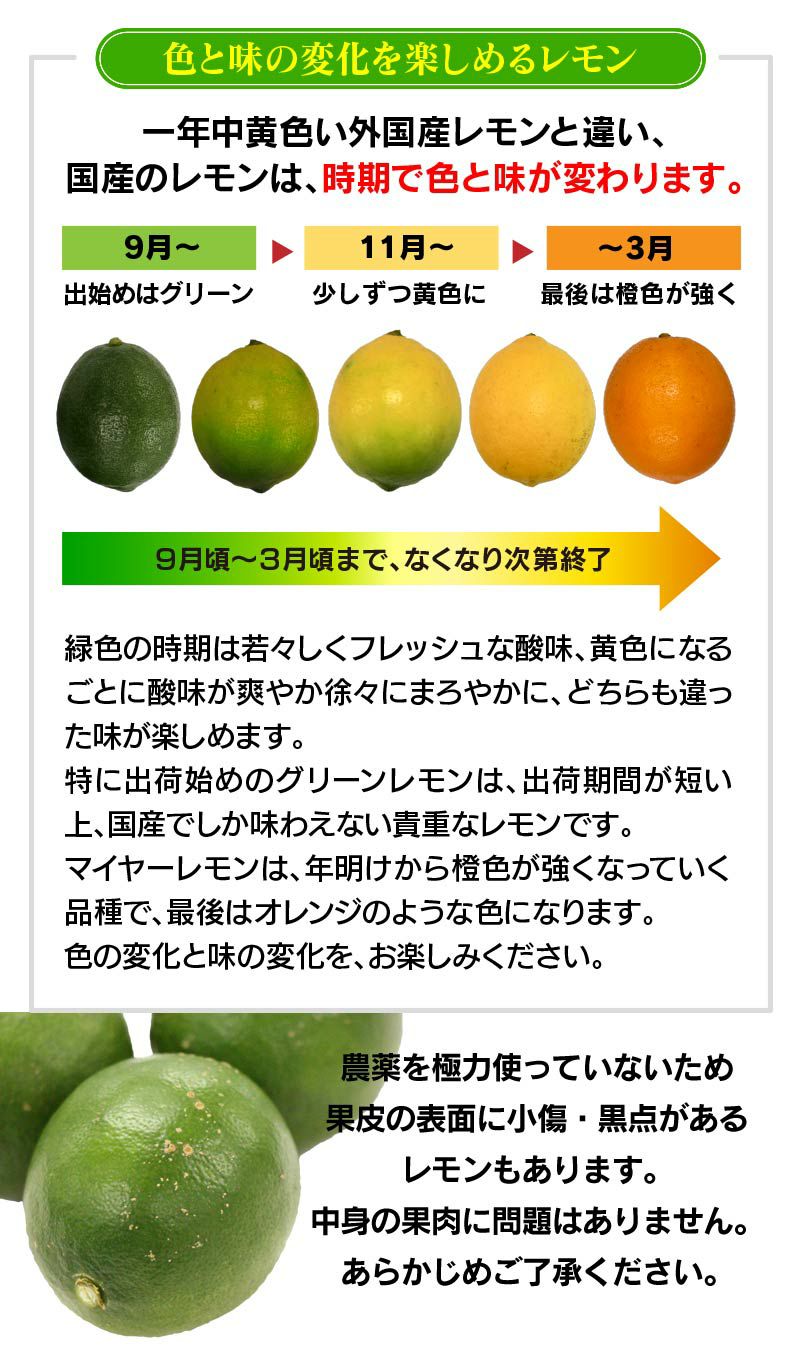 最新アイテム 国産瀬戸田レモン農薬不使用1