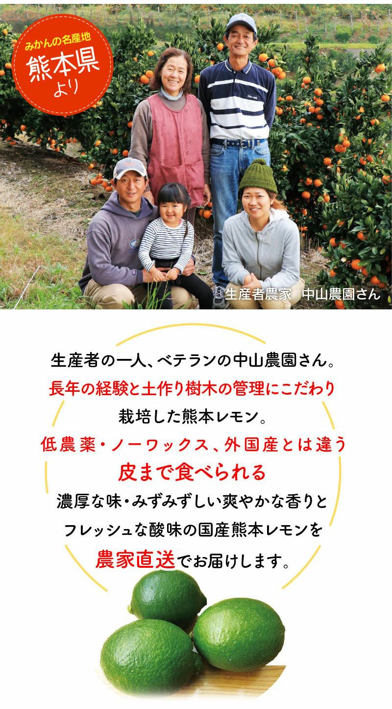 国産 熊本 レモン 5kg マイヤーレモン
