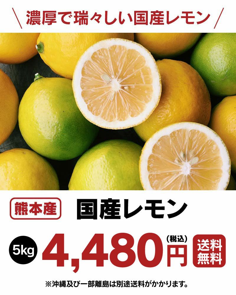 国産 熊本 レモン 5kg マイヤーレモン