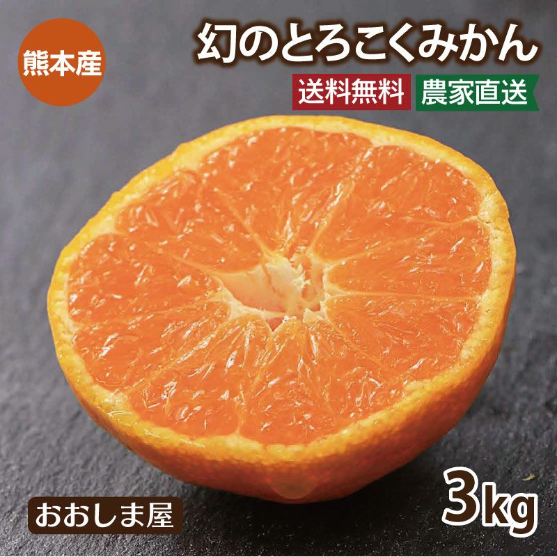 楽天市場】みかん たんかん 約5kg L〜3Lサイズ 鹿児島県産