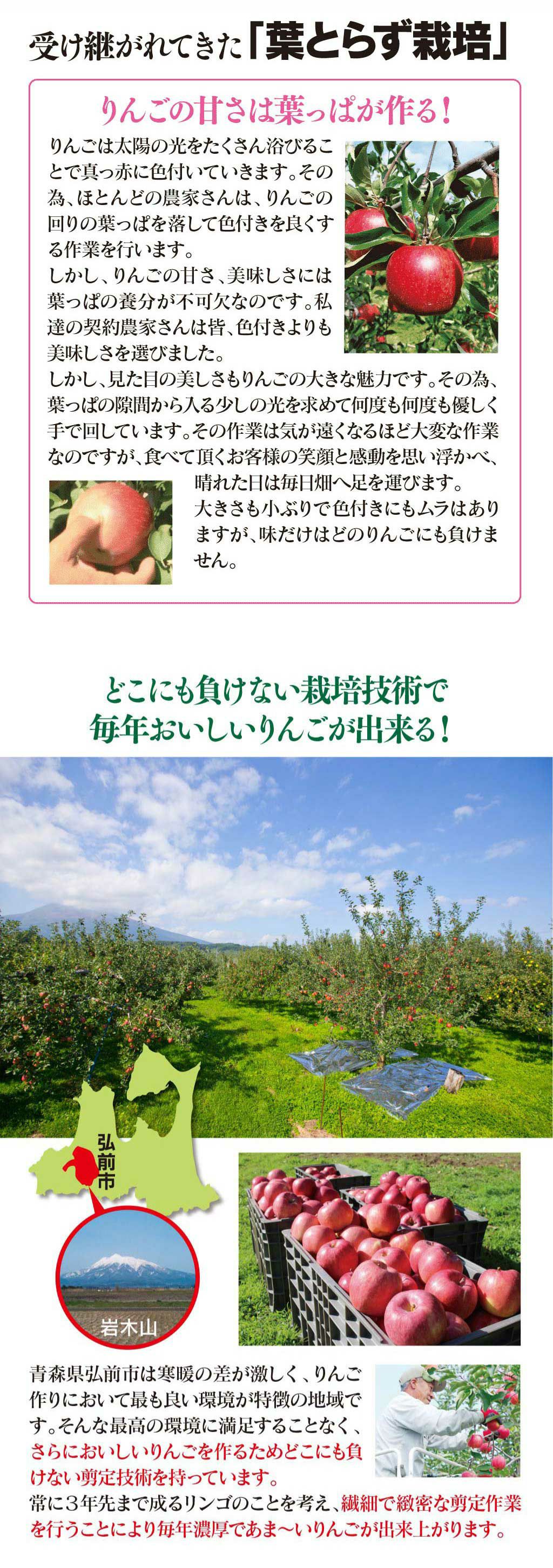 蜜入り葉とらずふじりんご