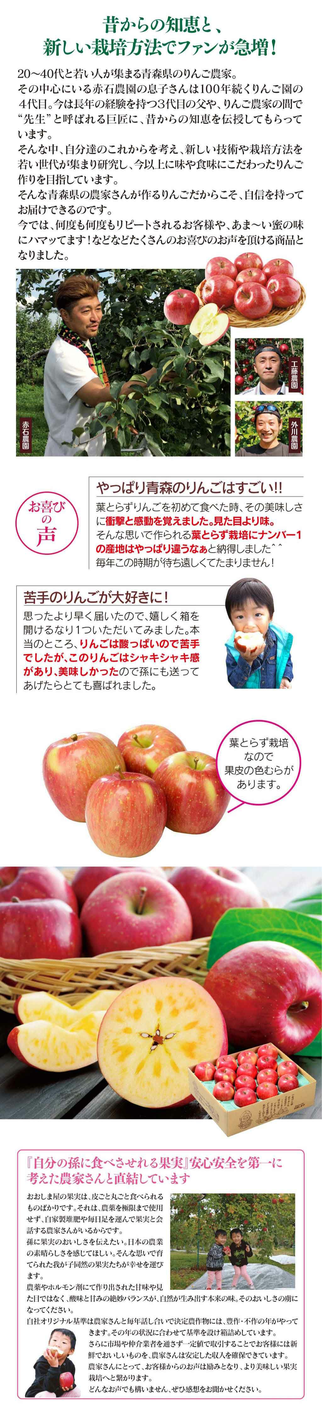 蜜入り葉とらずふじりんご