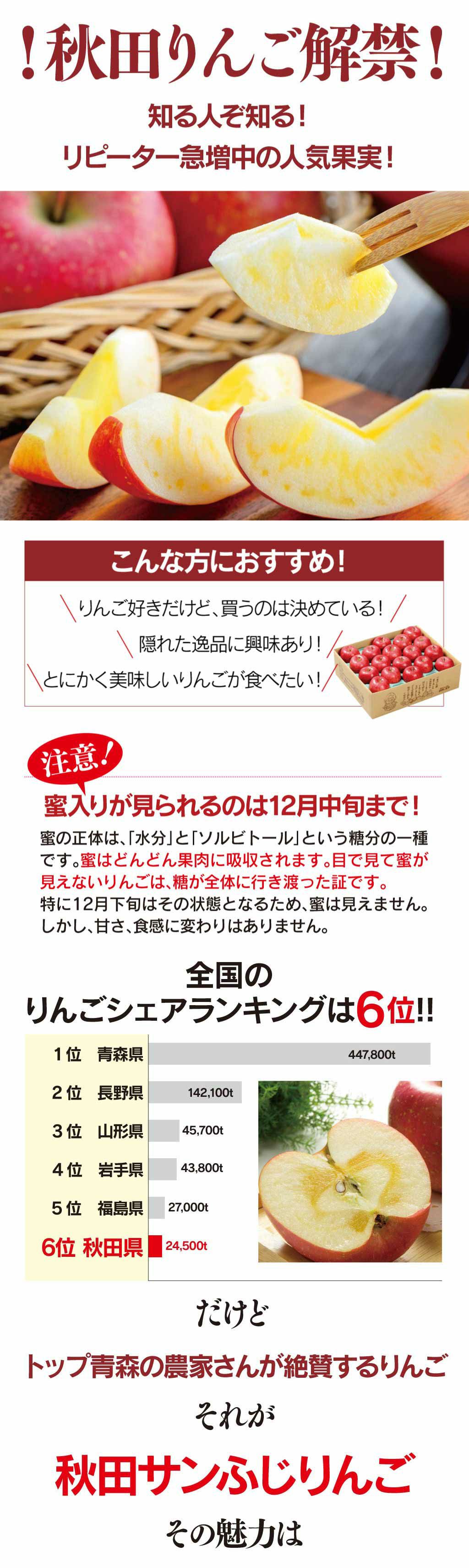 りんご 贈答用 3kg 10〜12玉前後 蜜入り 山形県産 サンふじ