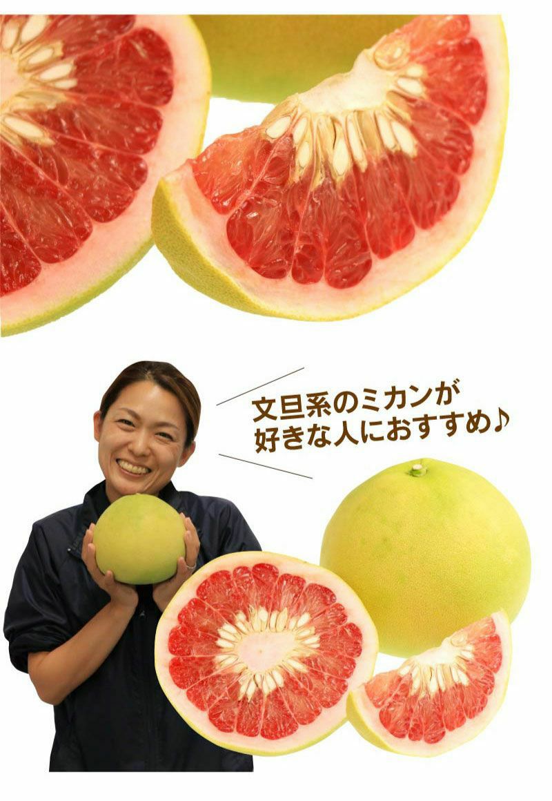 ファーストクイーン