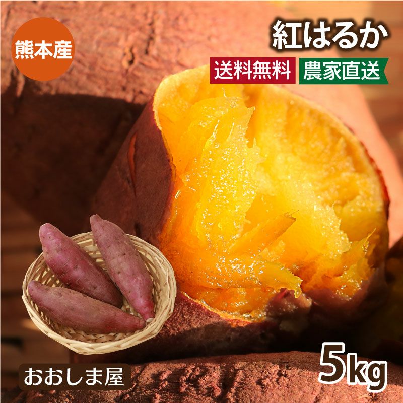 熊本県大津町産 さつまいも 紅はるか 116 粒芋 １.3キロ以上