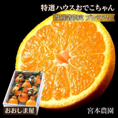 デコポン・おでこちゃん | おおしま屋（大嶌屋）