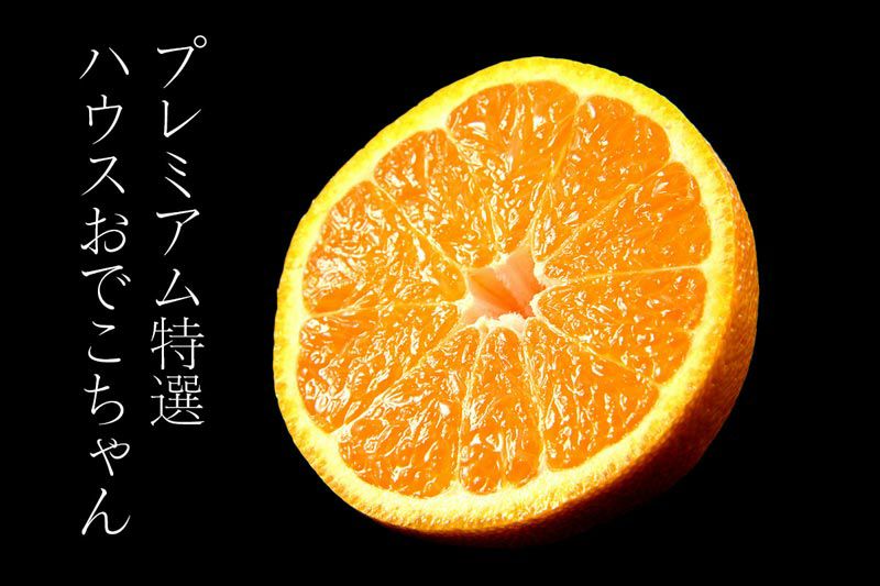 プレミアム特選ハウスおでこちゃん 3kg（玉揃い） ＜12月中旬-12月下旬