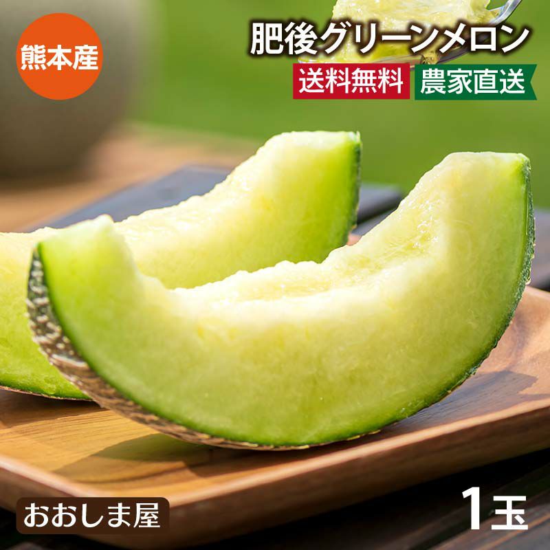 肥後グリーンメロン 1玉入り 熊本産 送料無料 ＜6月上旬より順次