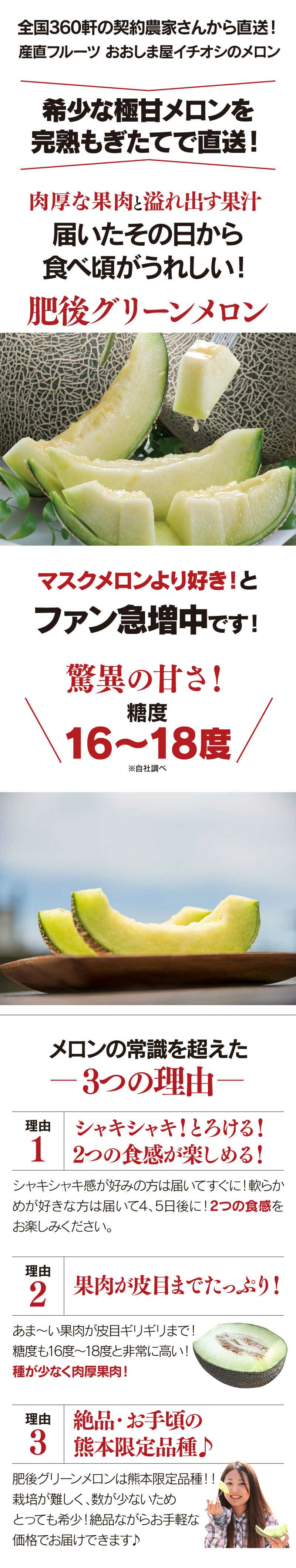 肥後グリーンメロン 1玉入り 熊本産 送料無料 ＜6月上旬より順次出荷＞ メロン 甘いメロン 青肉メロン 希少 ギフト プレゼント 農家直送 産地直送  フルーツ 果物 大嶌屋（おおしまや） | おおしま屋（大嶌屋）