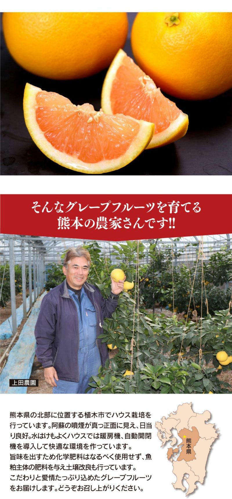 グレープフルーツ