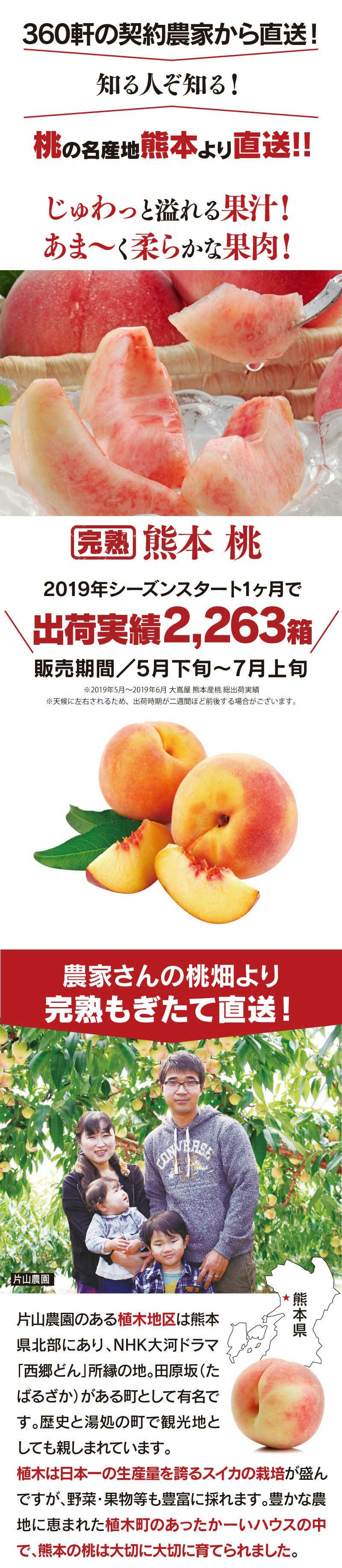 熊本県産 完熟 桃 1.8kg 送料無料（クール代別途） ＜6月下旬から順次出荷＞ 熊本 もも モモ ギフト プレゼント 果物 フルーツ  大嶌屋（おおしまや）【0451494】 | おおしま屋（大嶌屋）