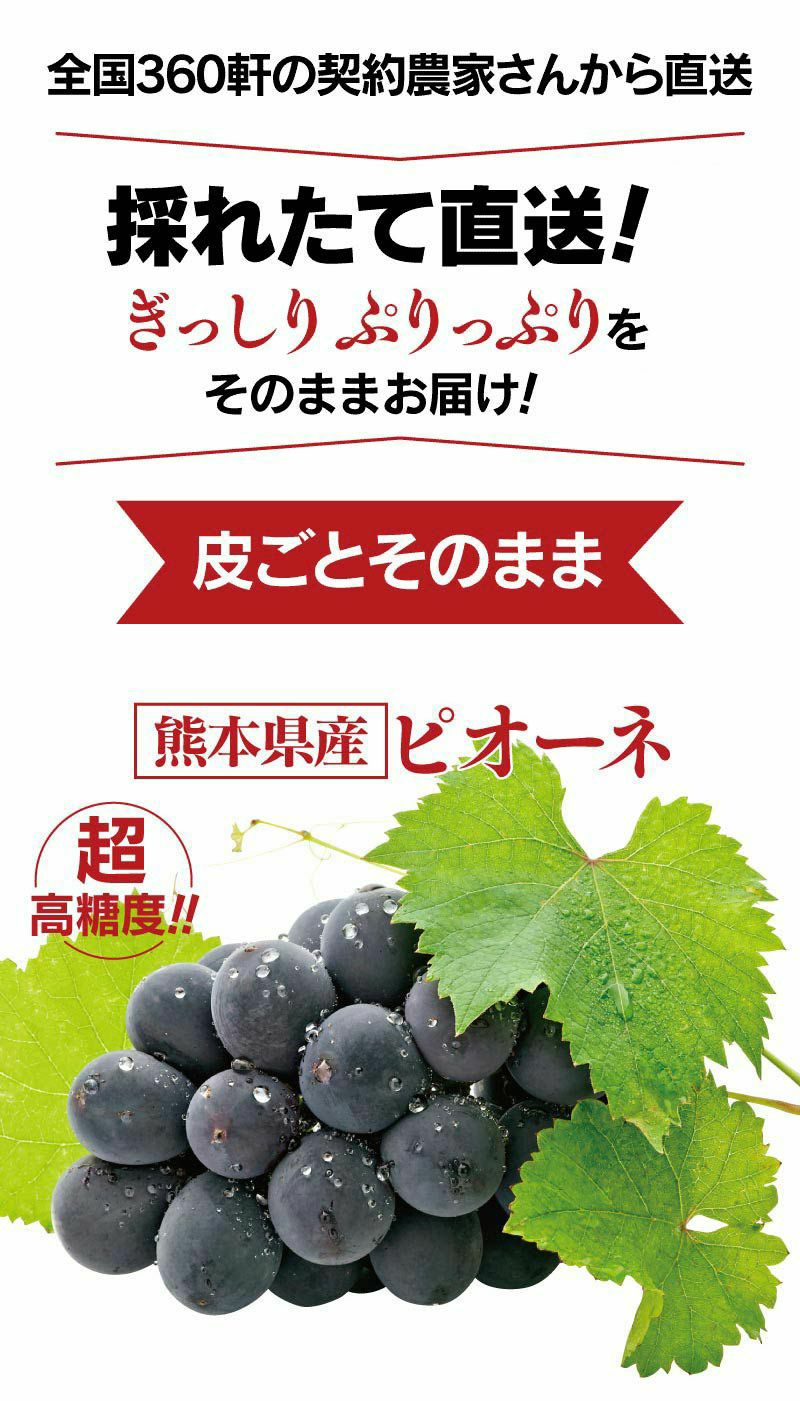 ピオーネ ニューピオーネ 