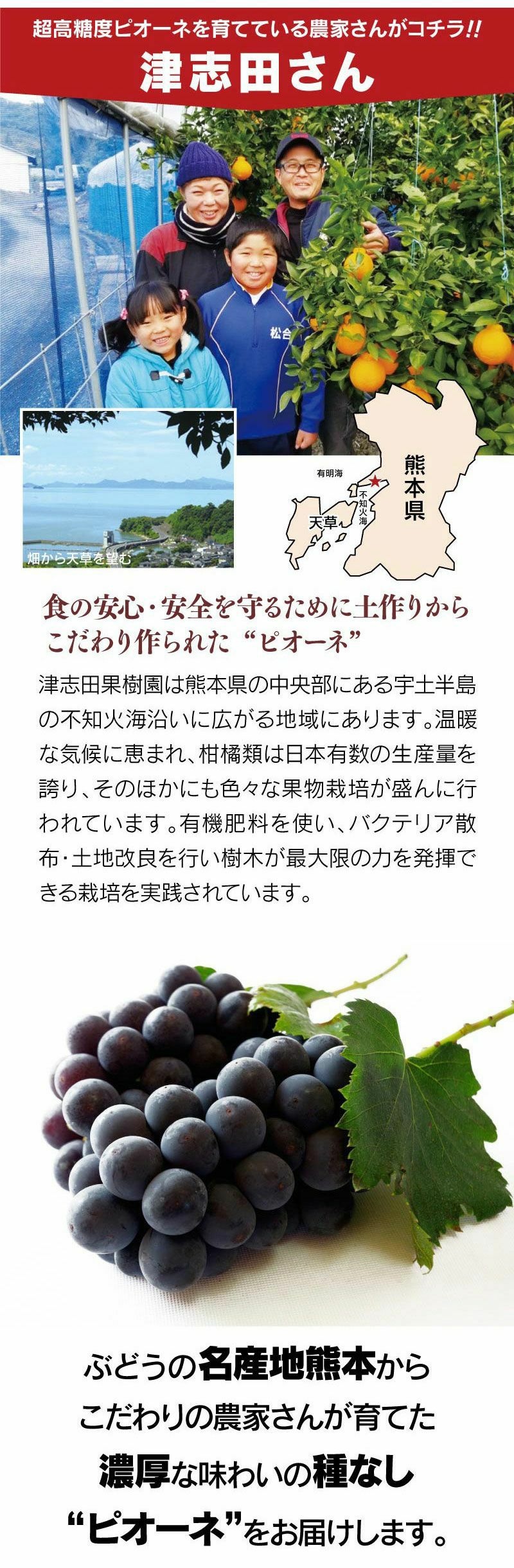 ピオーネ ニューピオーネ 