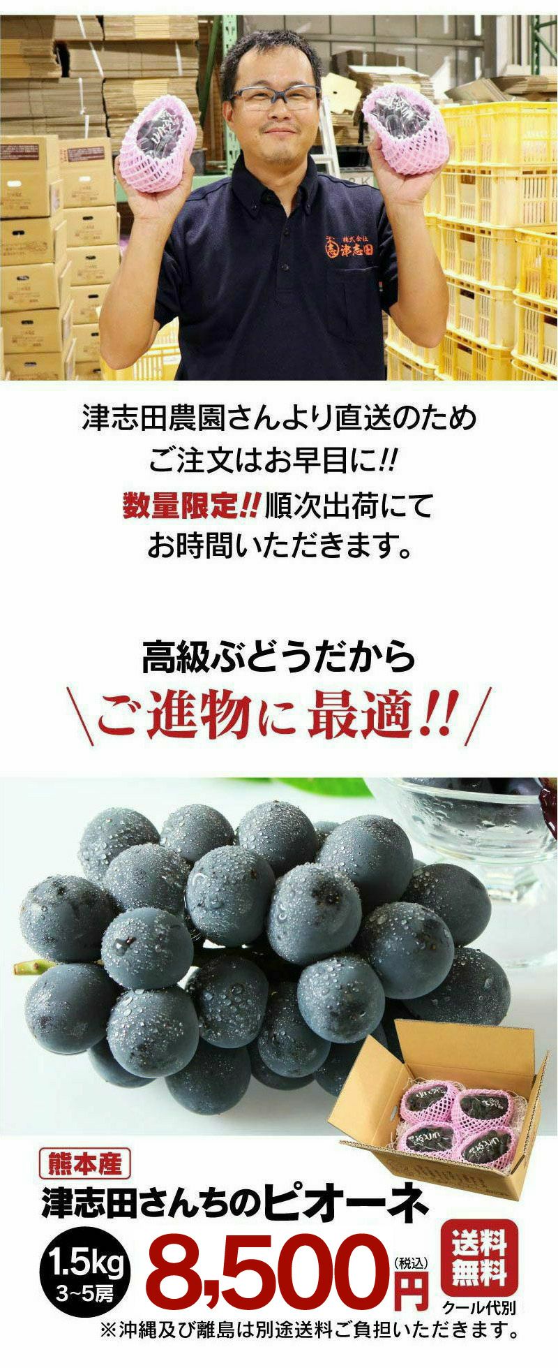 ピオーネ ニューピオーネ 