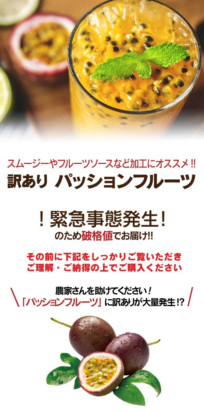 熊本産 訳ありパッションフルーツ 3kg ＜お届け一週間から二週間前後＞ | おおしま屋（大嶌屋）