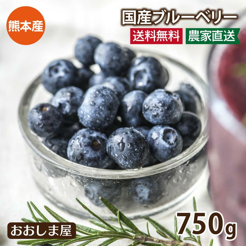 無農薬 生 ブルーベリー 送料無料（クール代込み） 国産 熊本産