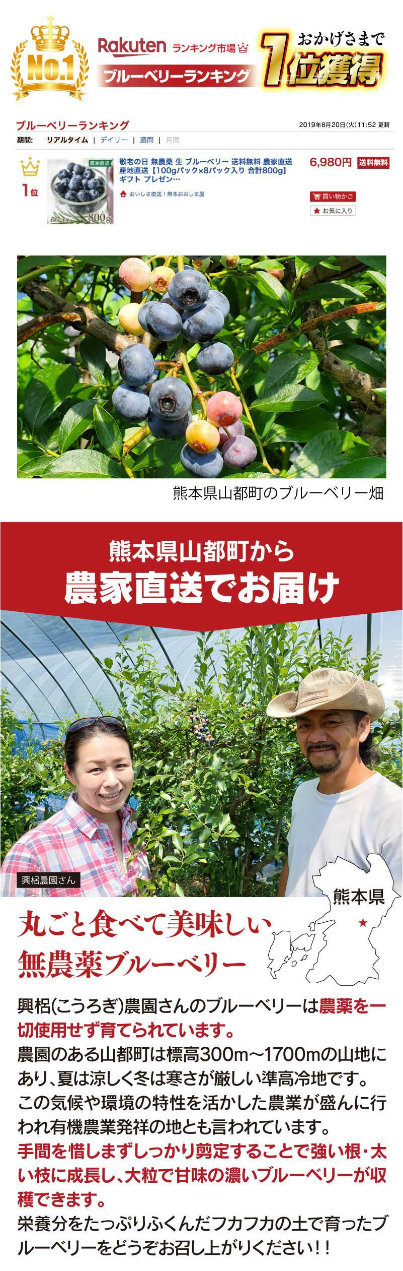無農薬 生 ブルーベリー