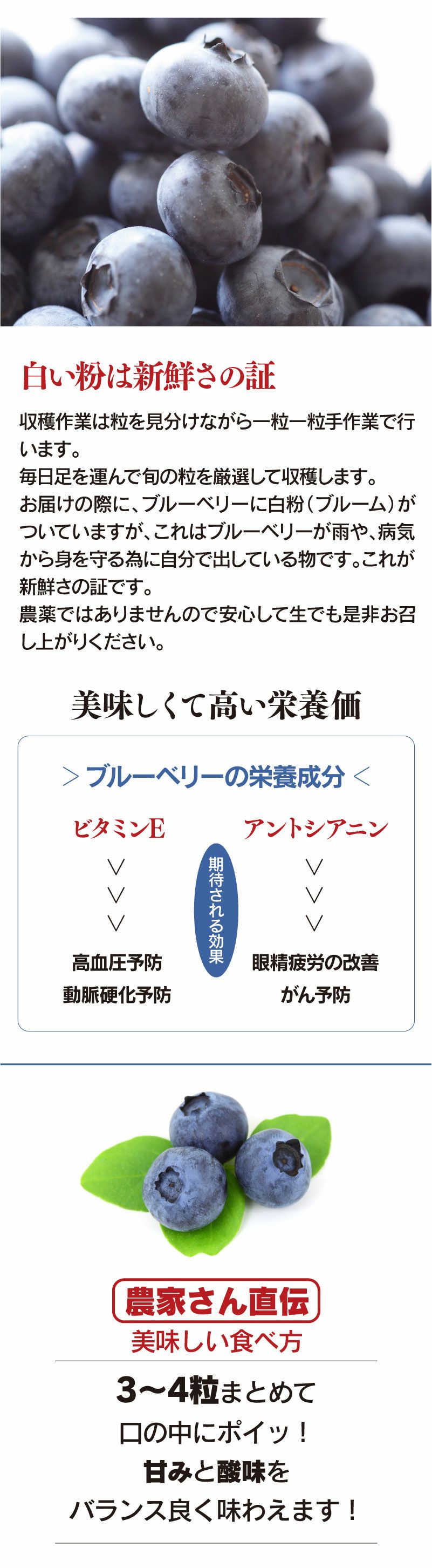 無農薬 生 ブルーベリー