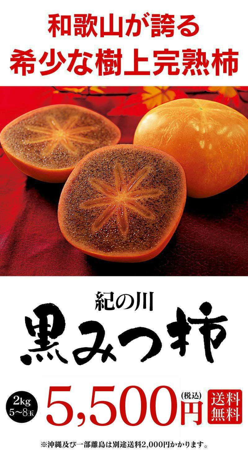紀の川柿